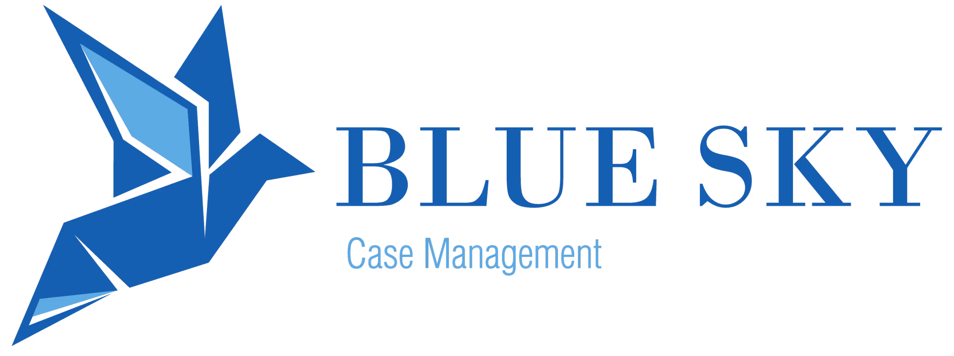Blue Sky Case Management